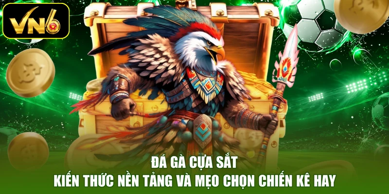 Đá Gà Cựa Sắt - Kiến Thức Nền Tảng Và Mẹo Chọn Chiến Kê Hay