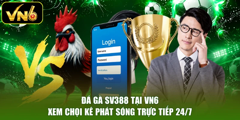 Đá Gà SV388 Tại VN6 - Xem Chọi Kê Phát Sóng Trực Tiếp 24/7