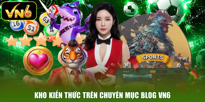 Kho kiến thức trên chuyên mục blog VN6