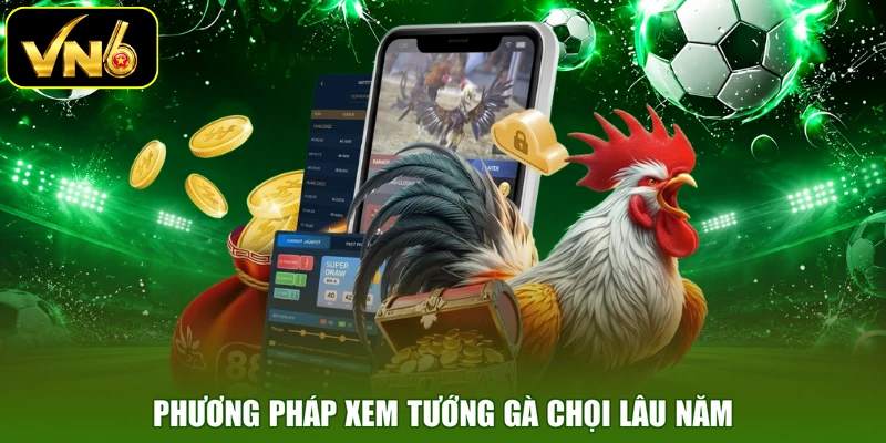 Phương pháp xem tướng gà chọi lâu năm