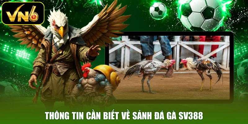 Thông tin cần biết về sảnh đá gà SV388