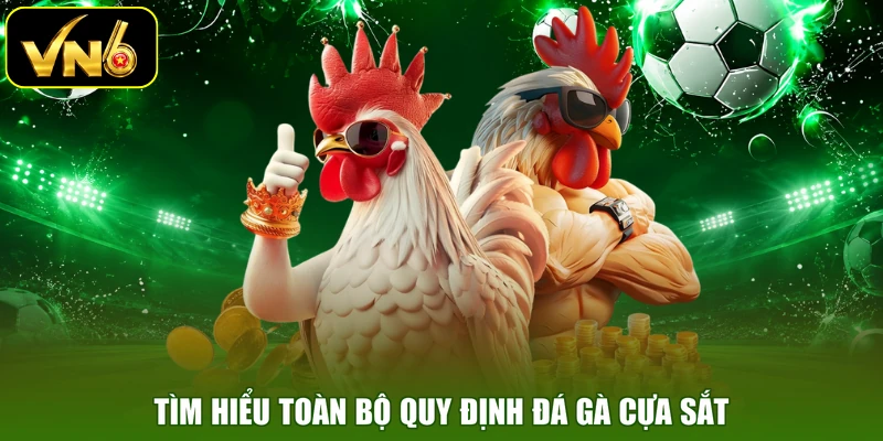 Tìm hiểu toàn bộ quy định đá gà cựa sắt